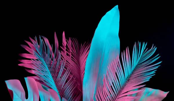 image-gradient