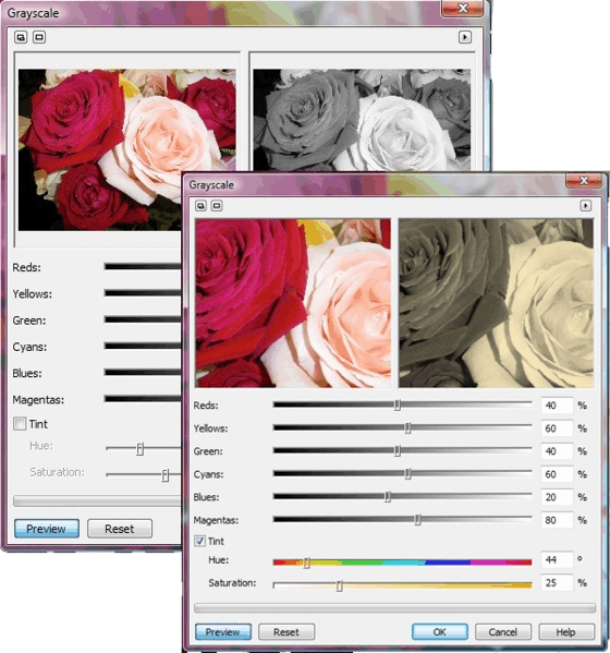 Corel PHOTO-PAINT - Cuadro de diálogo del efecto Escala de grises