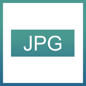 Select the “image format JPEG” option