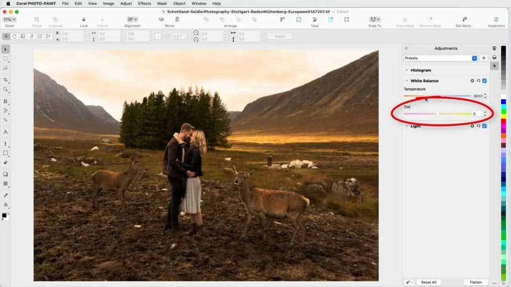 Adjustments inspector