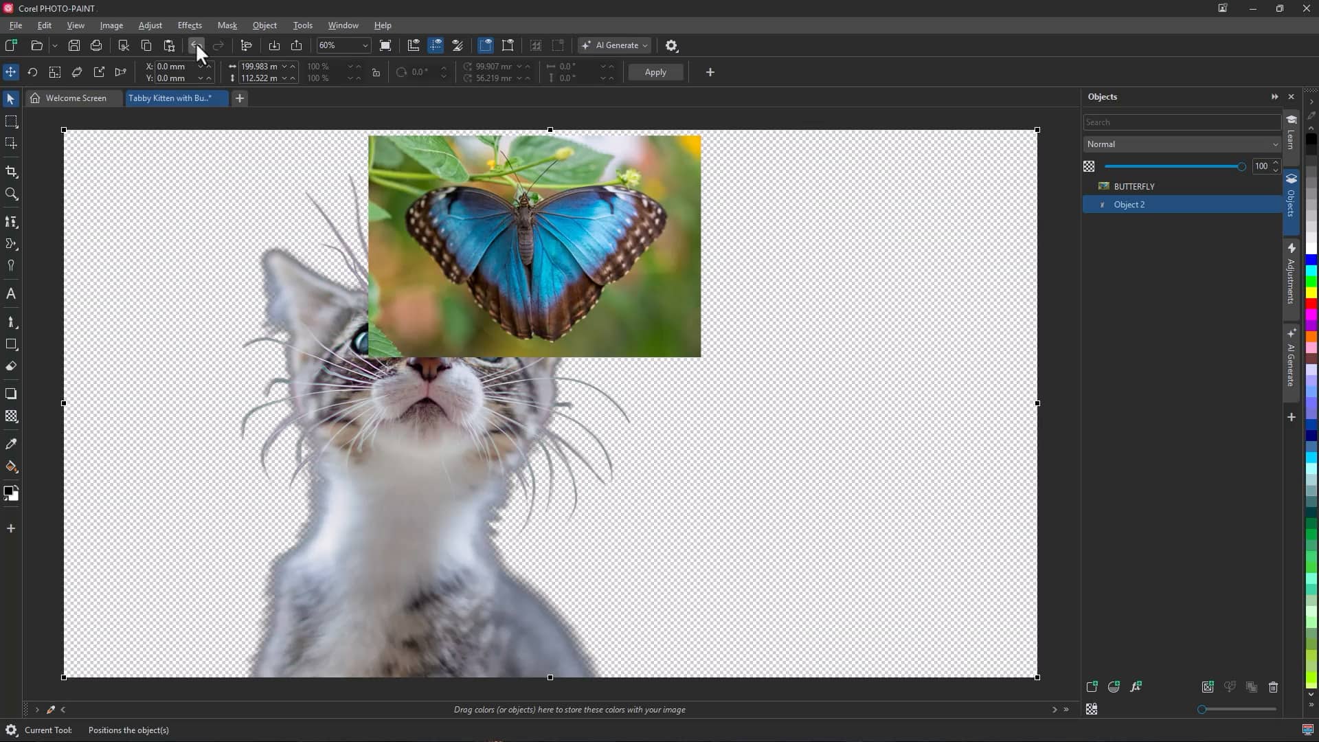 To remove the background using the menu