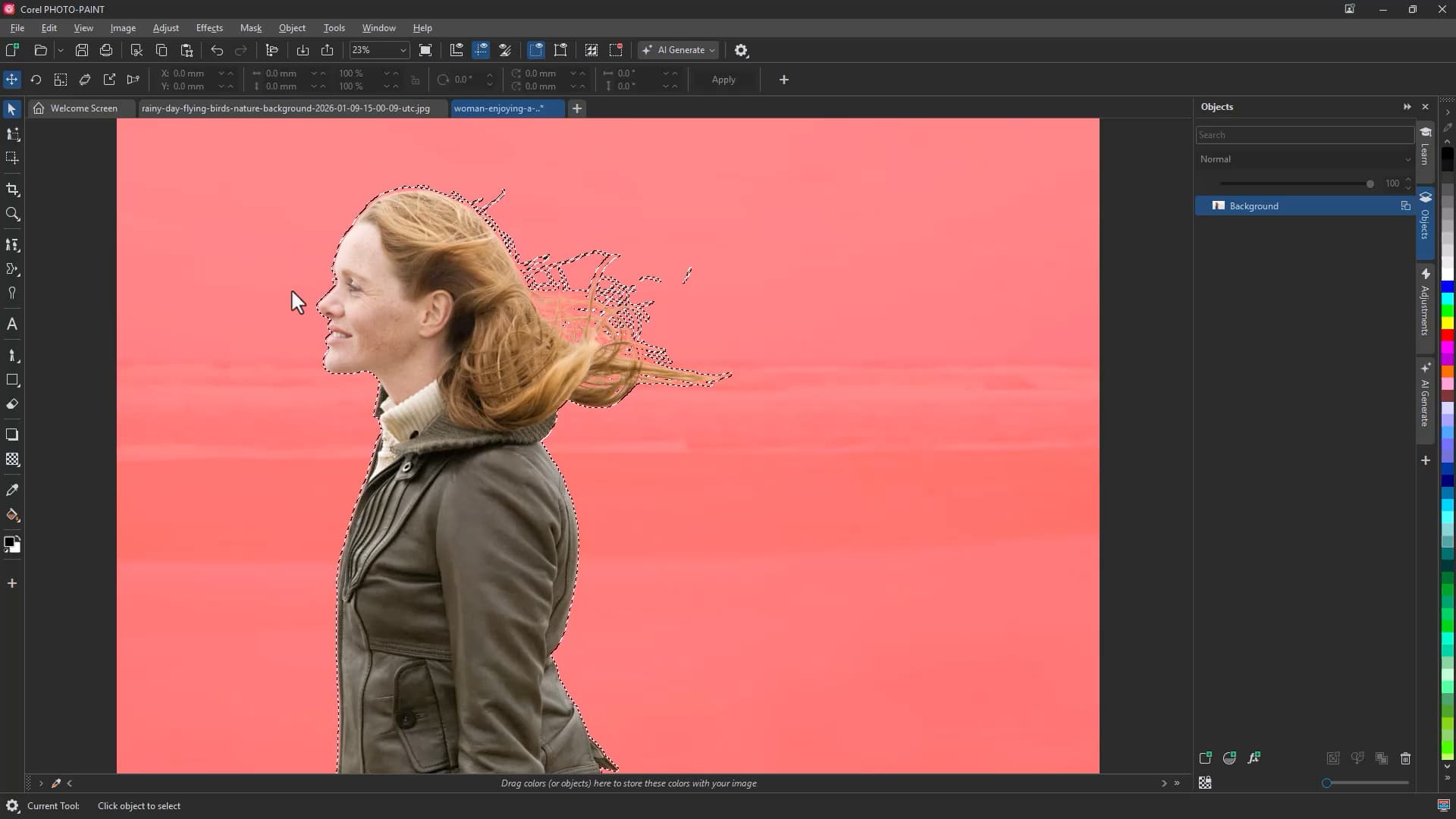 To mask a subject automatically