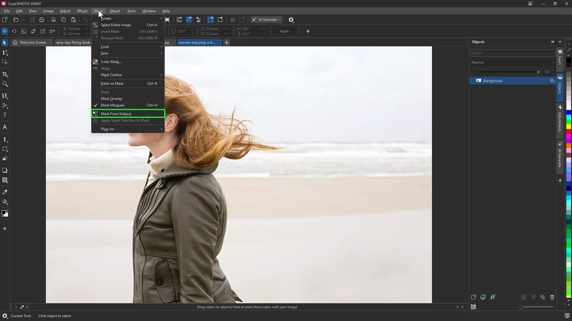 Automatically select a subject with AI Mask from Subject in Corel PHOTO-PAINT