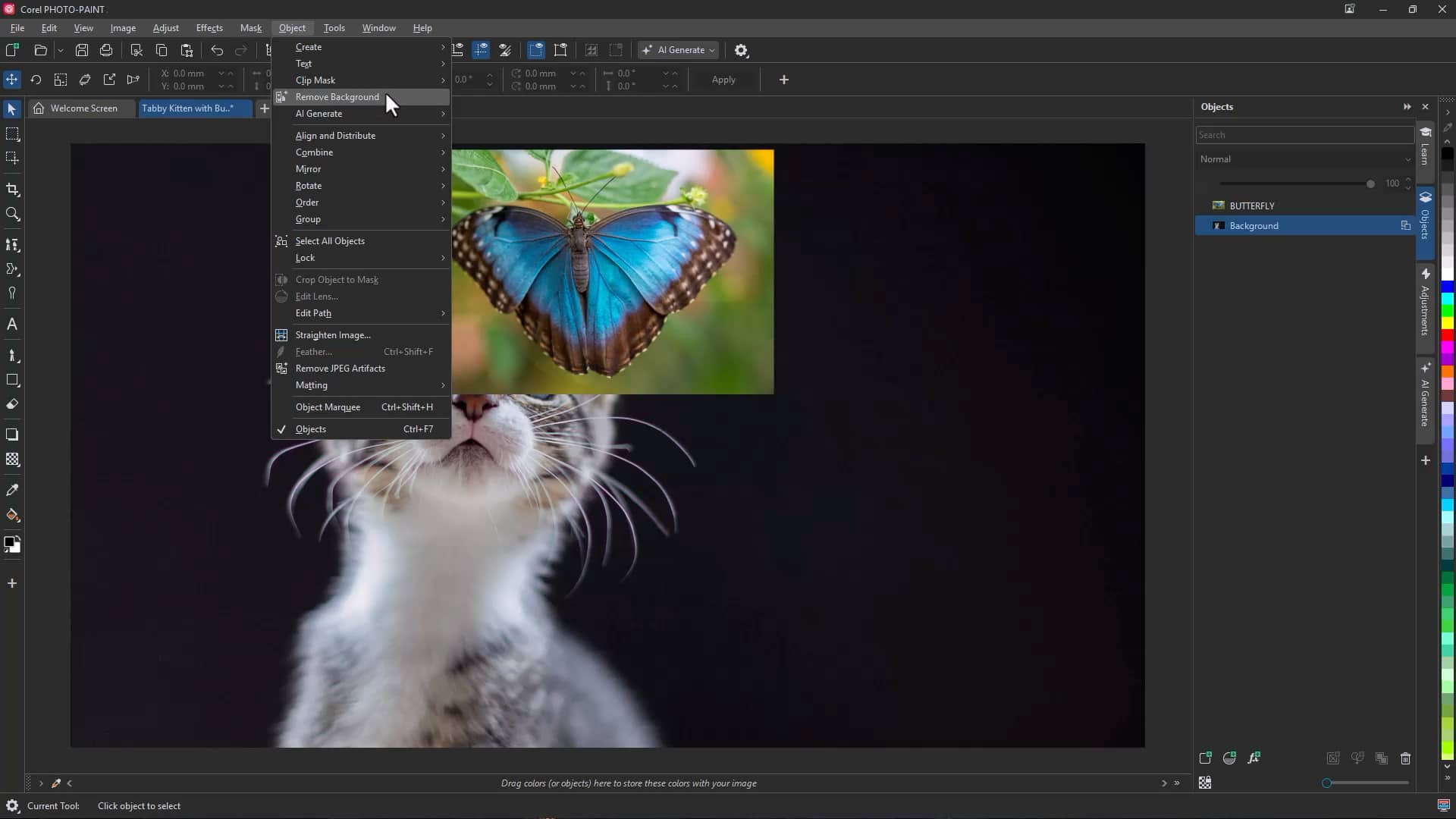 Remove a background from an image