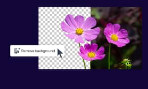 Experience faster, smarter photo editing with AI