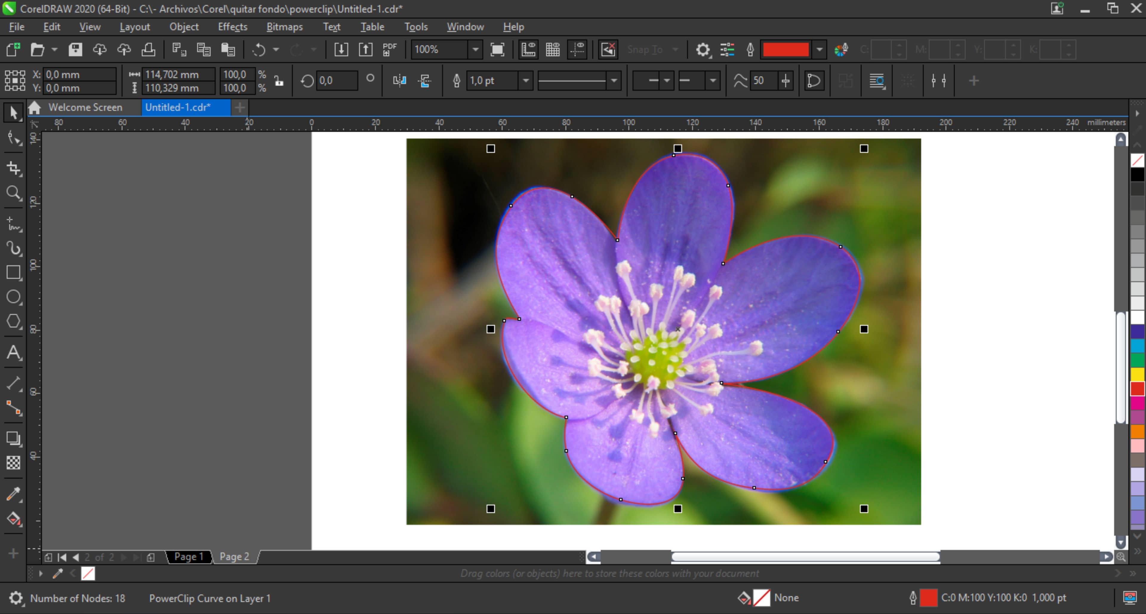 Removing the background from images with CorelDRAW and PHOTO-PAINT |  CorelDRAW Tutorials