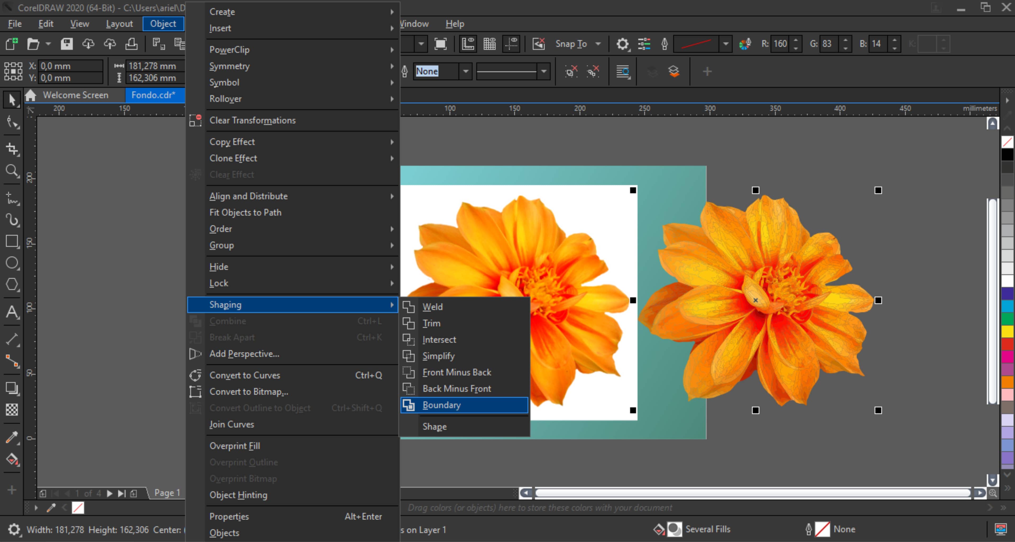 Removing the background from images with CorelDRAW and PHOTO-PAINT |  CorelDRAW Tutorials