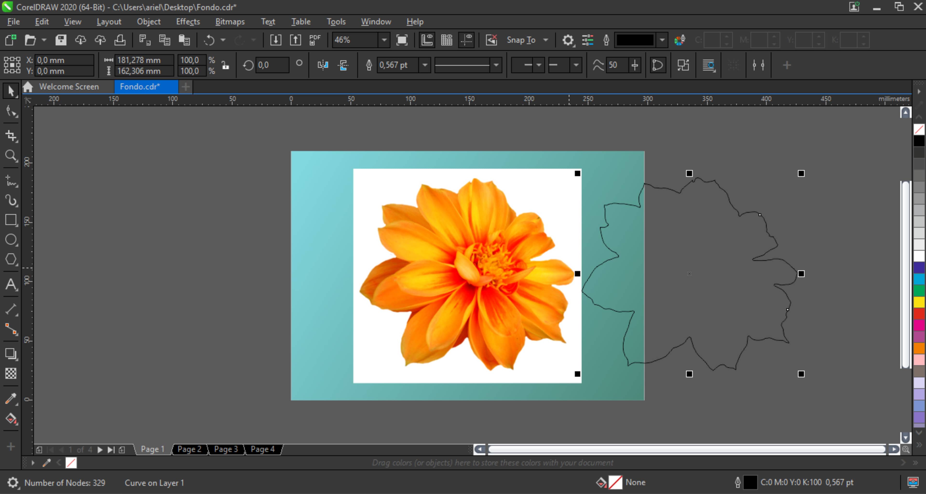 remove background coreldraw remove background coreldraw