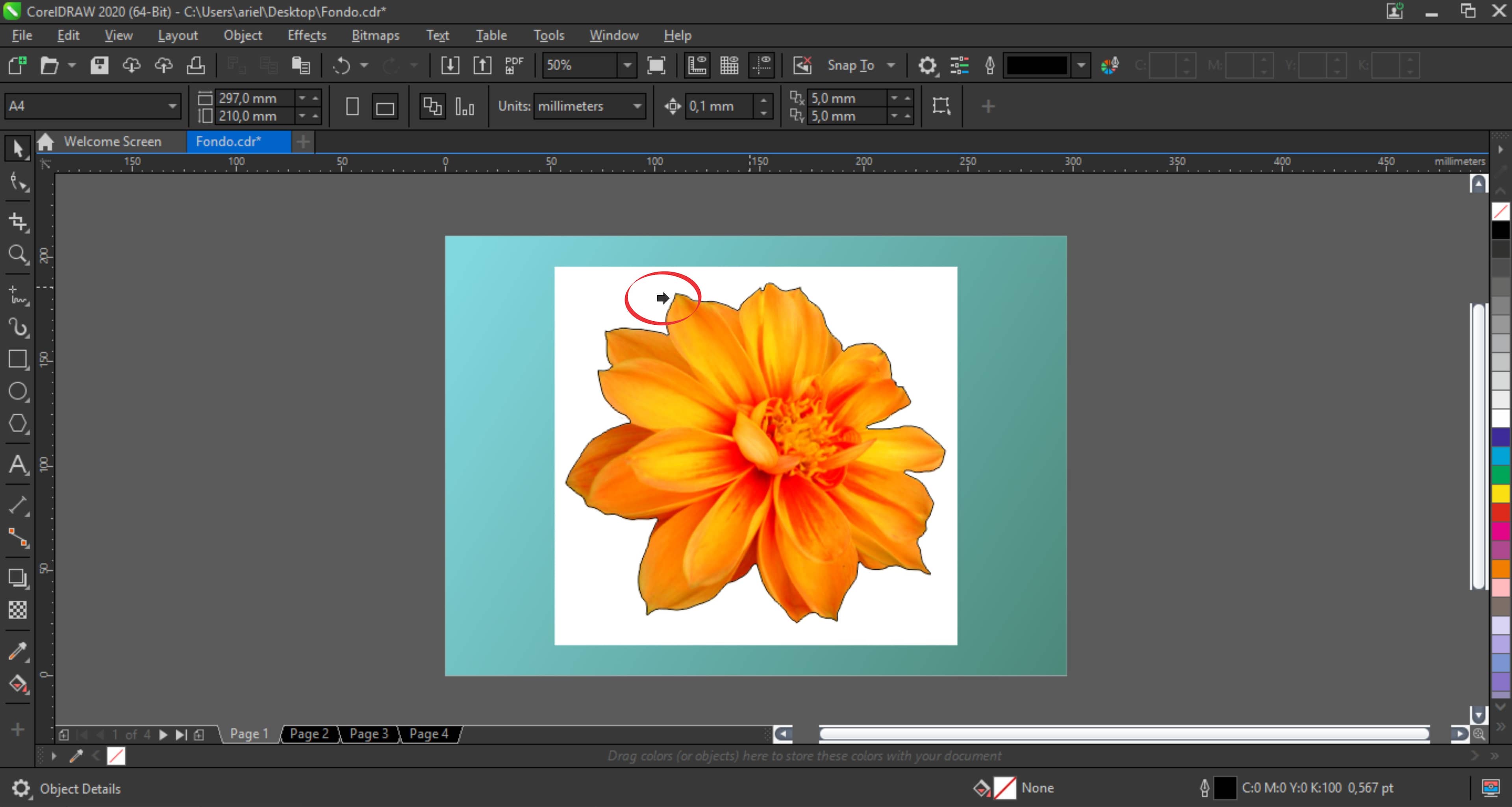 Removing the background from images with CorelDRAW and PHOTO-PAINT |  CorelDRAW Tutorials