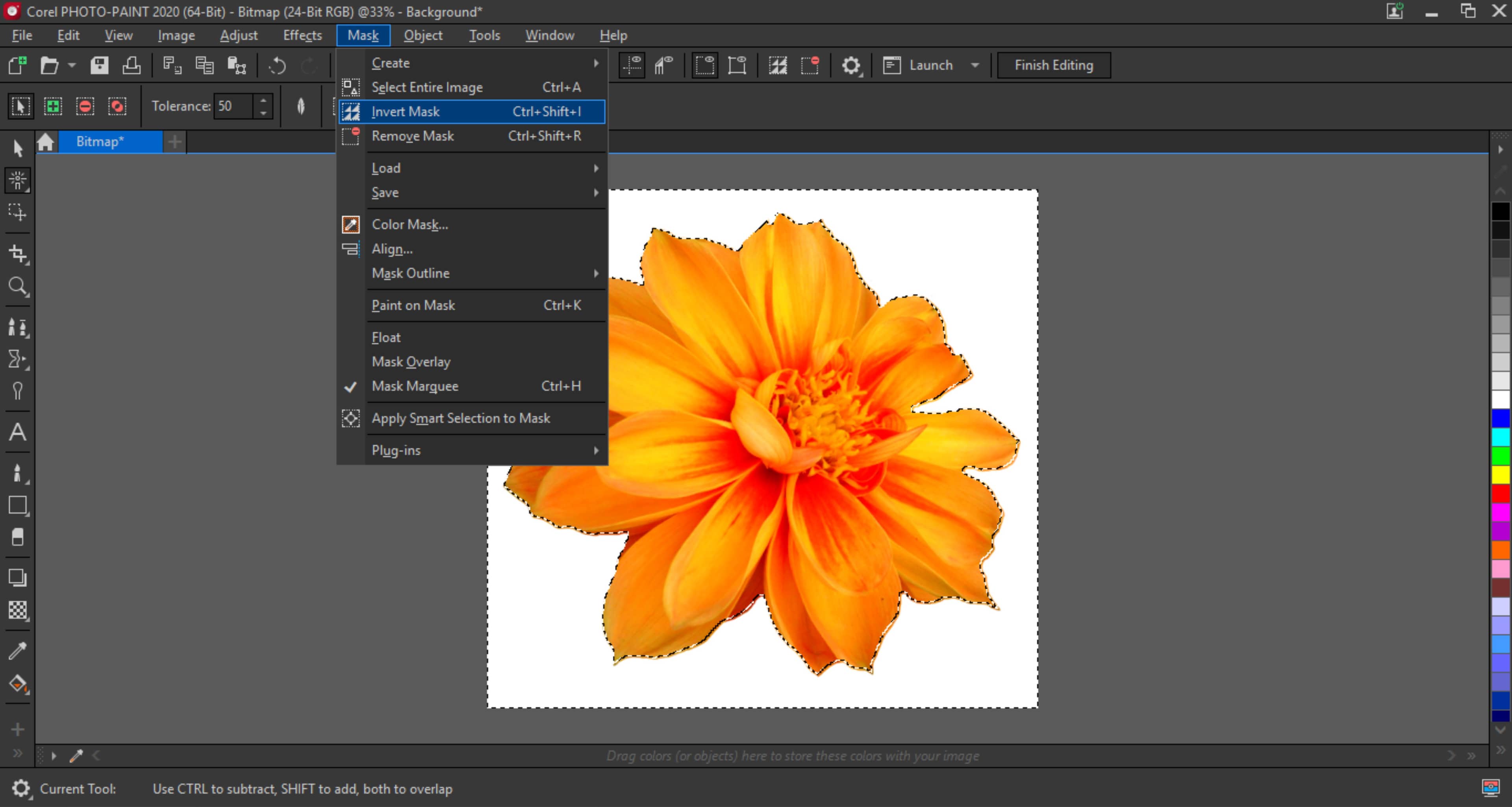 Removing the background from images with CorelDRAW and PHOTO-PAINT |  CorelDRAW Tutorials