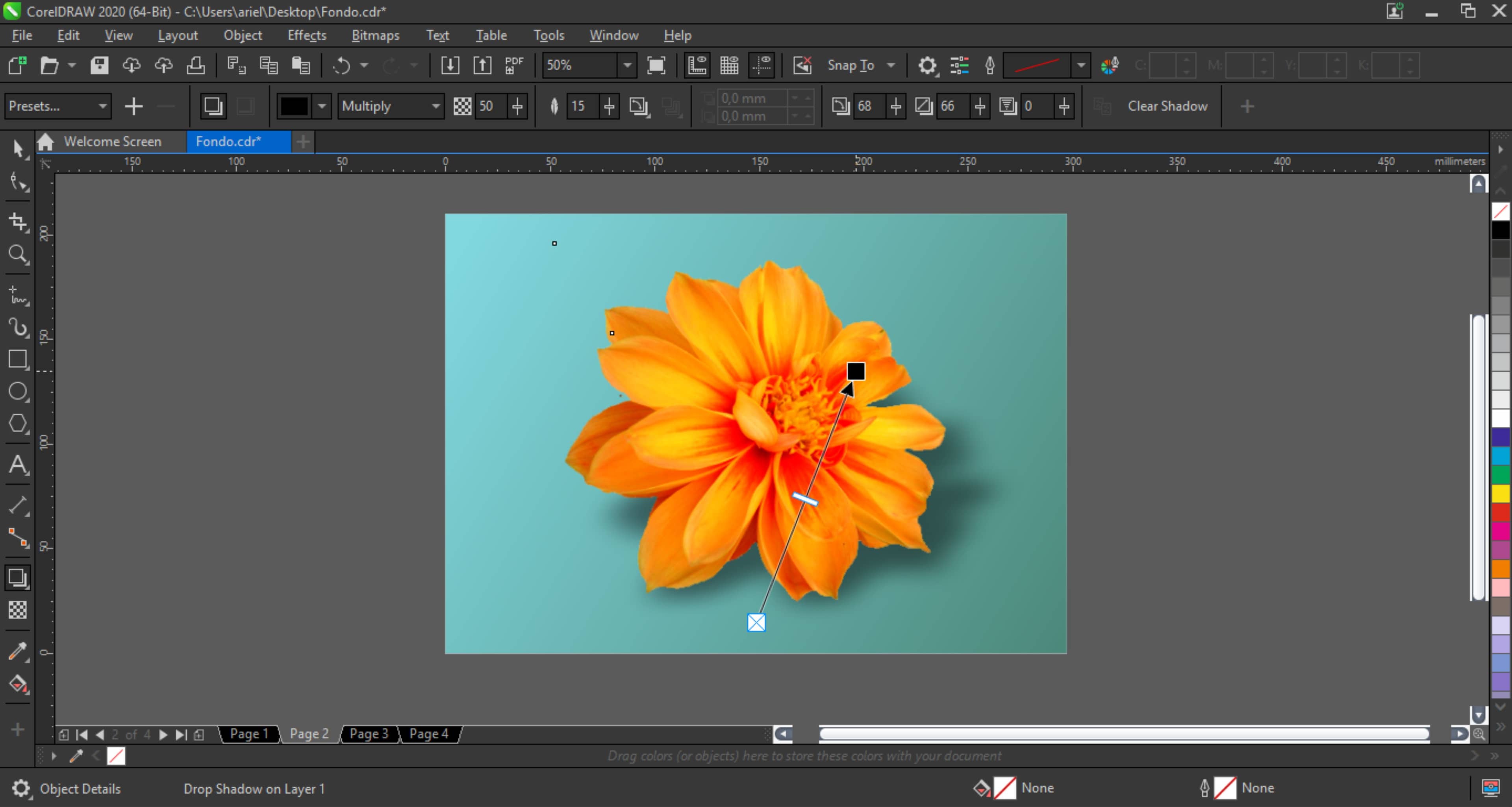 Removing the background from images with CorelDRAW and PHOTO-PAINT |  CorelDRAW Tutorials