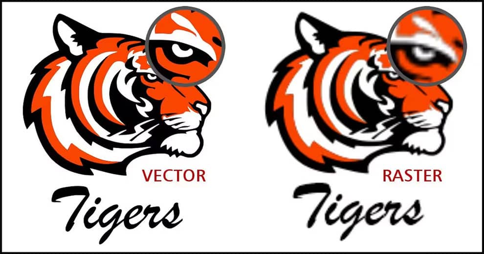vector vs. raster comparison example
