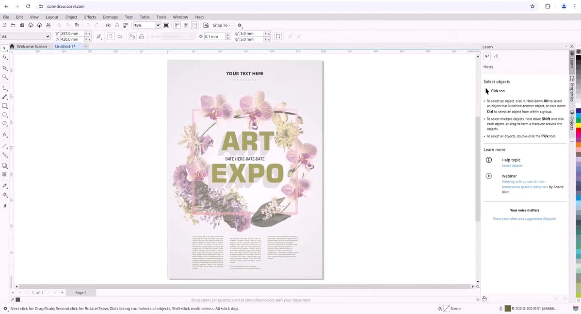 CorelDRAW Web graphic tools