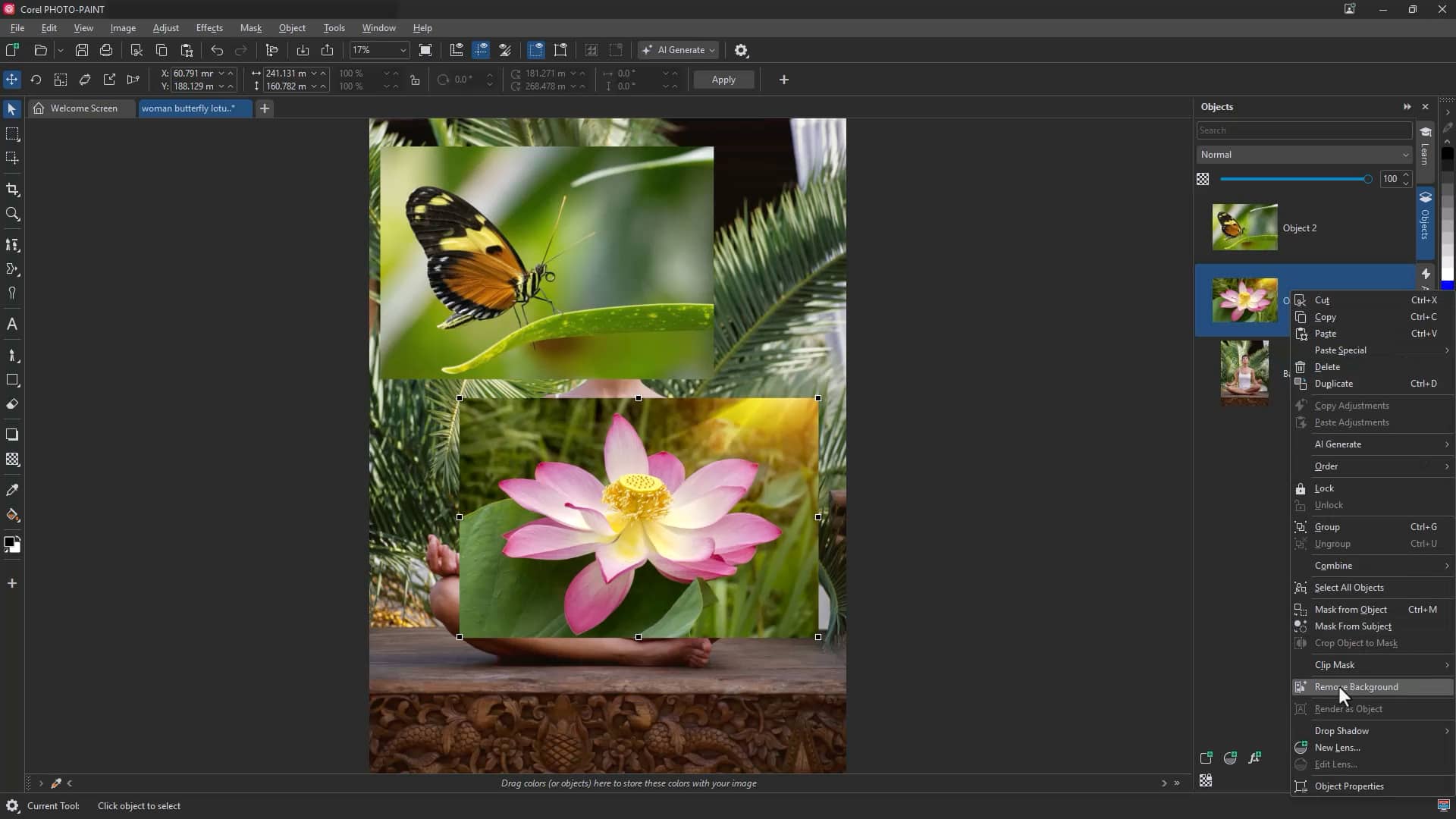 In a layered document, select the image layer and apply Remove Background