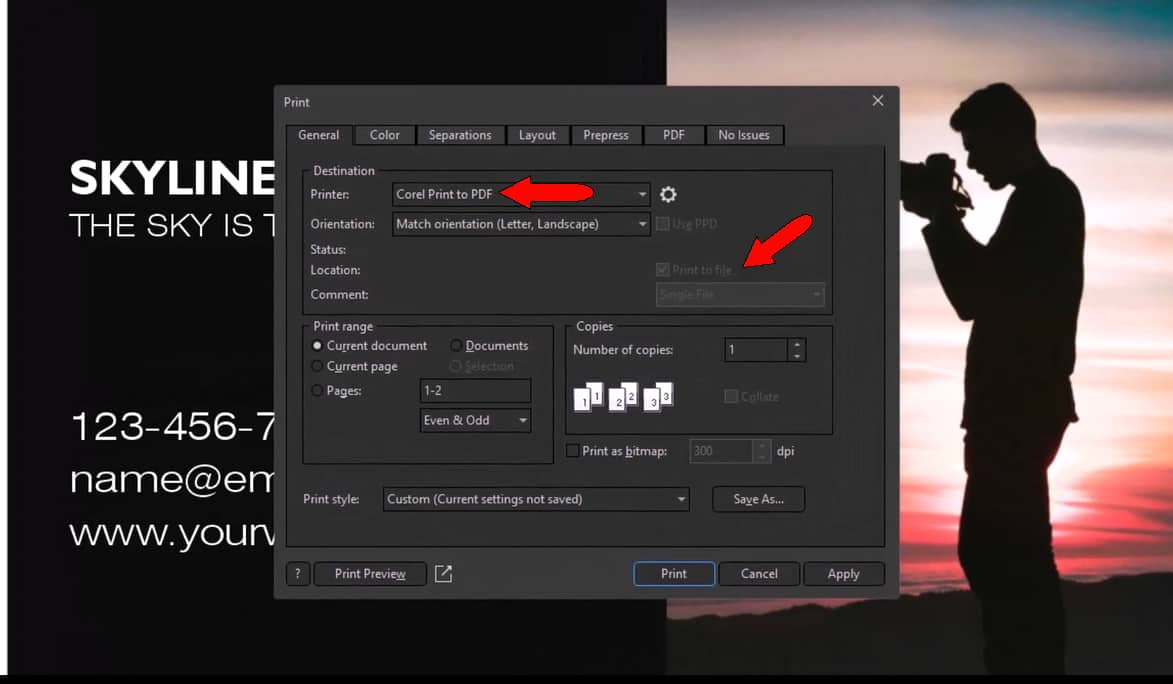 Access your Print window