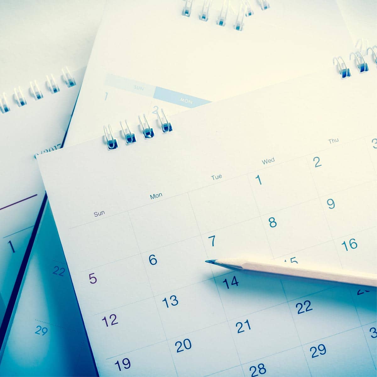 How To Create Calendar In Coreldraw 2025 Saba Roxine