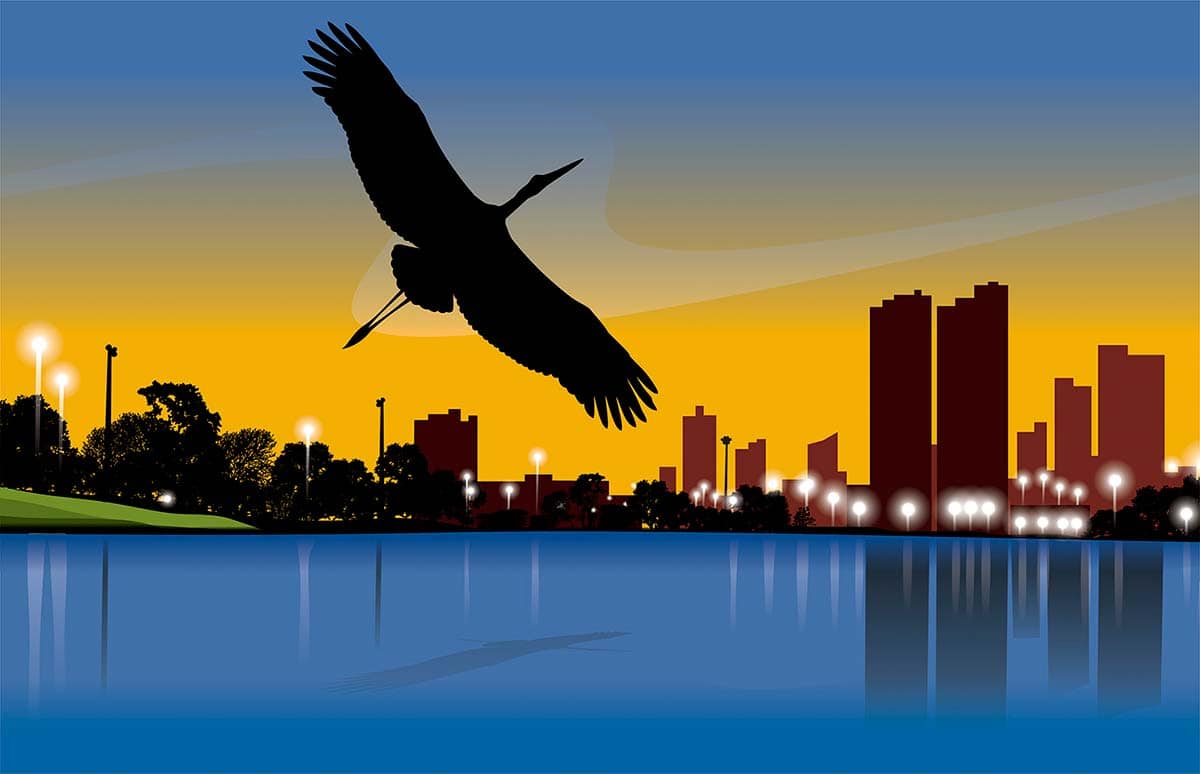 vectorize jpg free vectorize jpg free