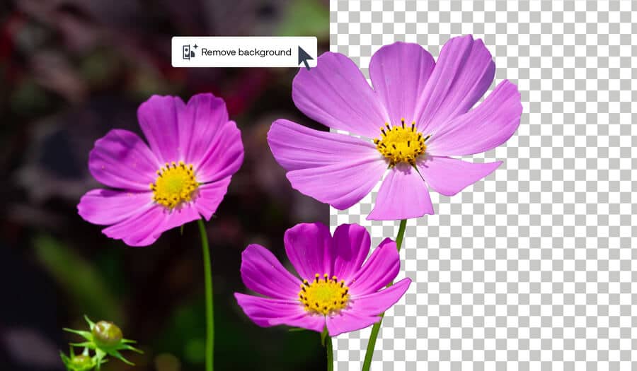 AI background removal