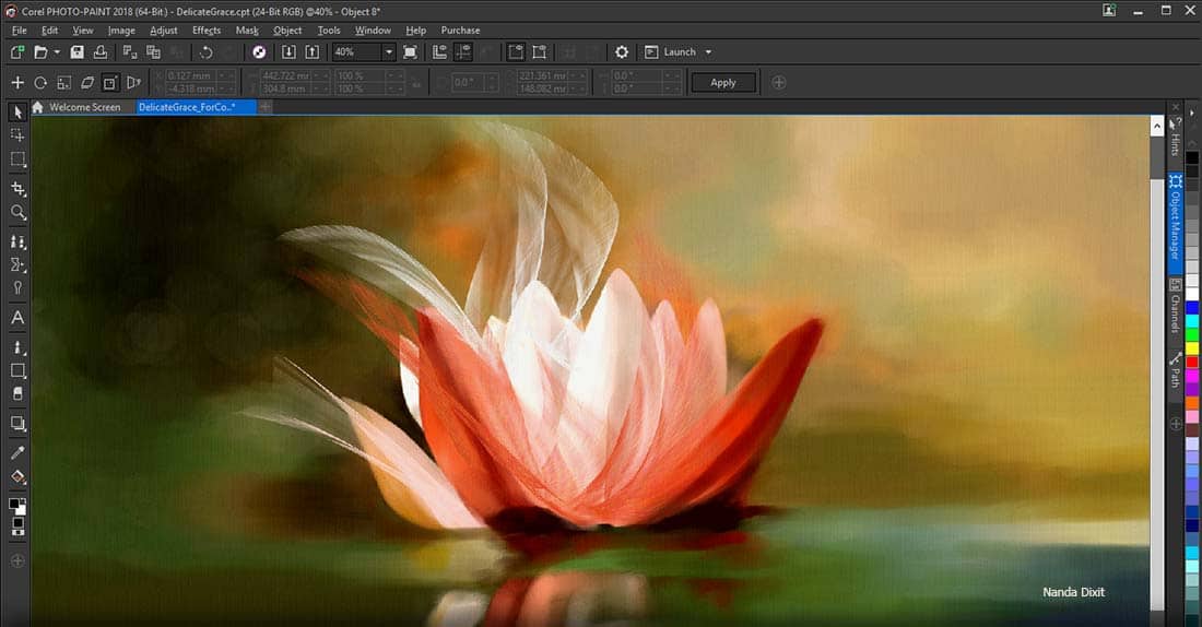 Lotus form viewer for mac Lotus form viewer for mac