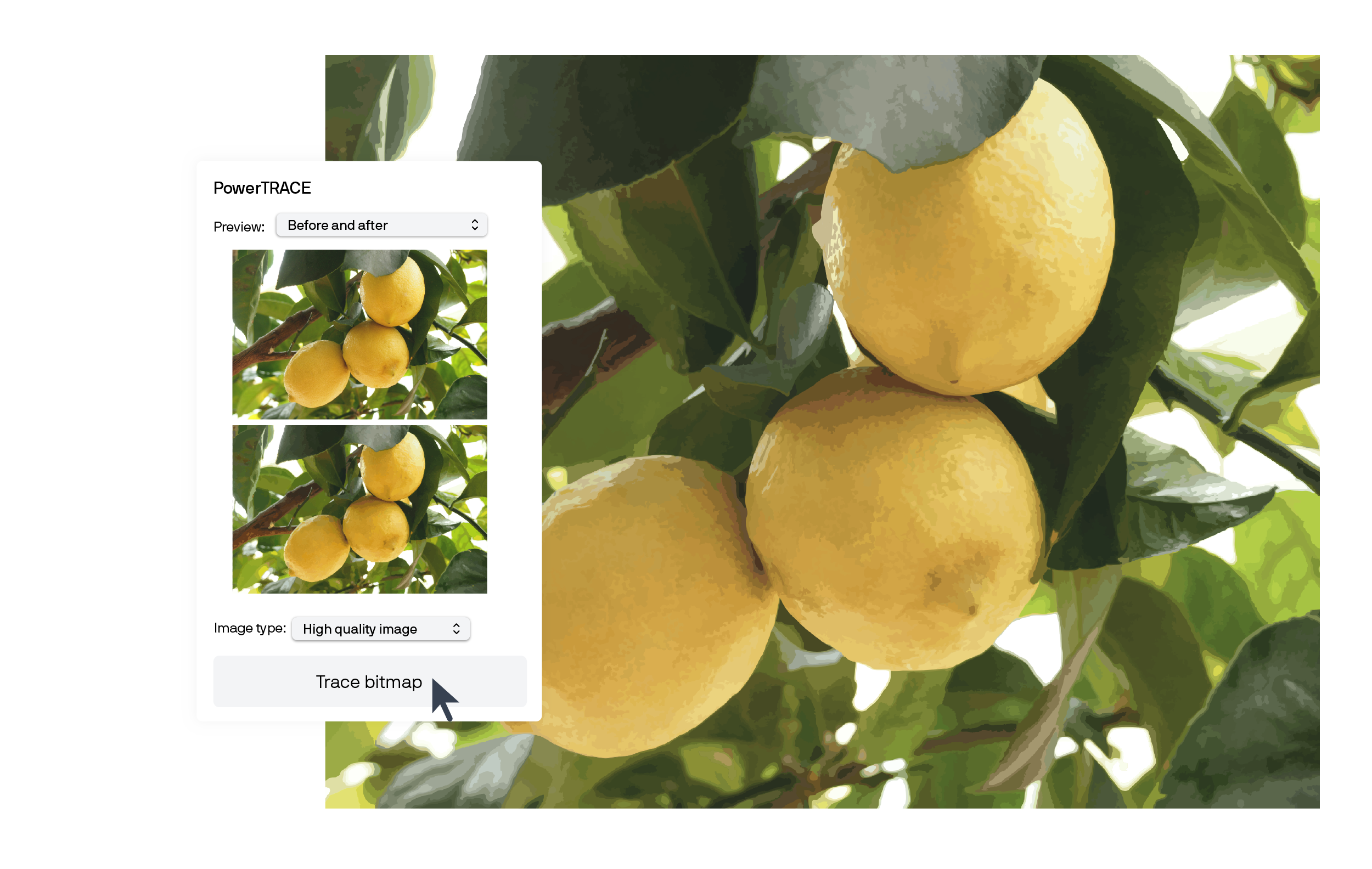 Conversion d'une image bitmap en image vectorielle