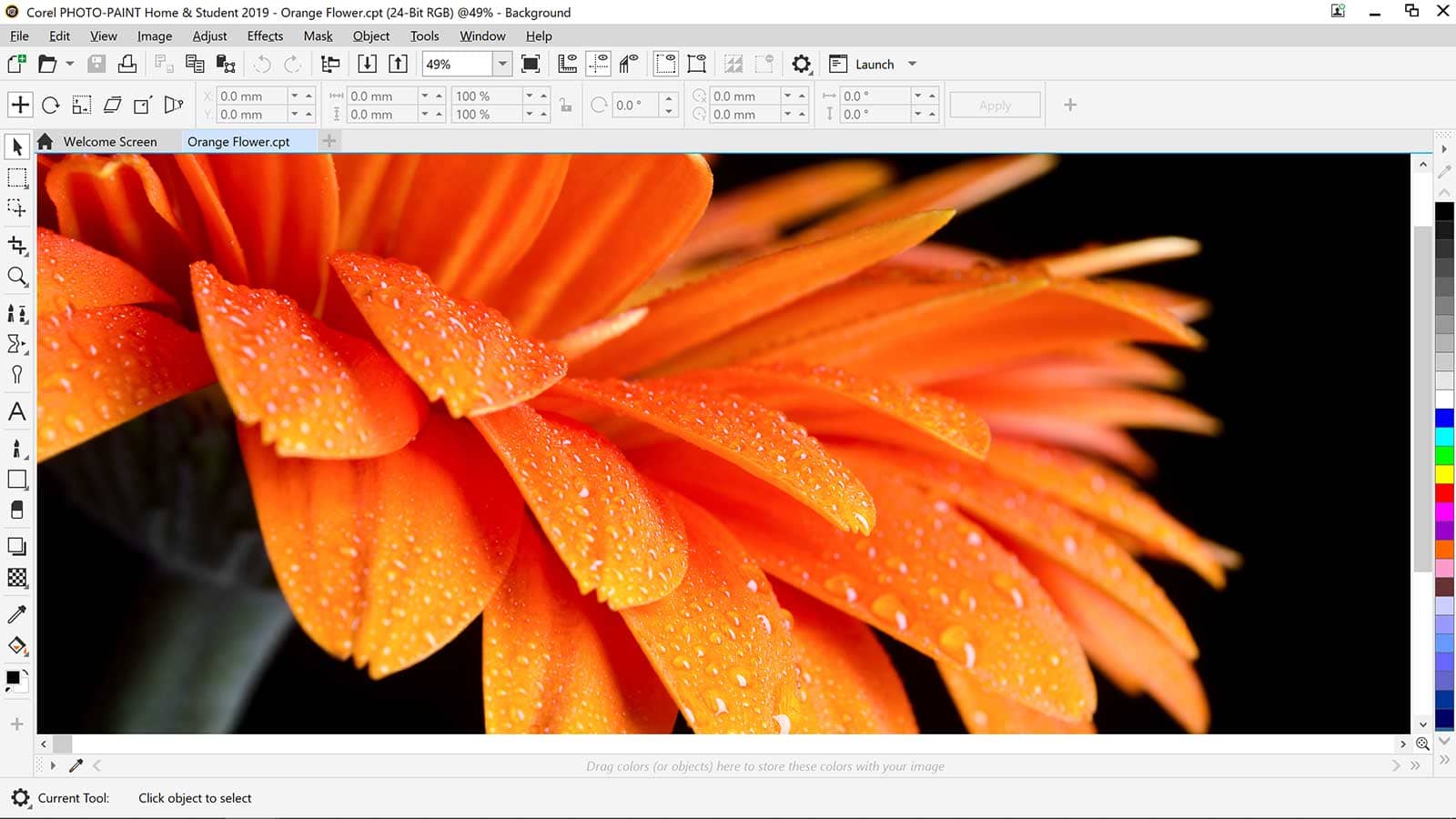 corel photo paint 2019 corel photo paint 2019
