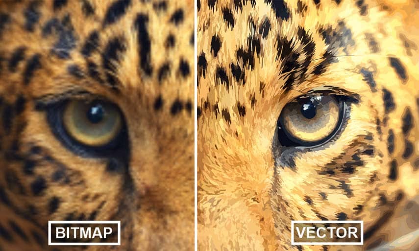 Get impressive bitmap-to-vector trace results
