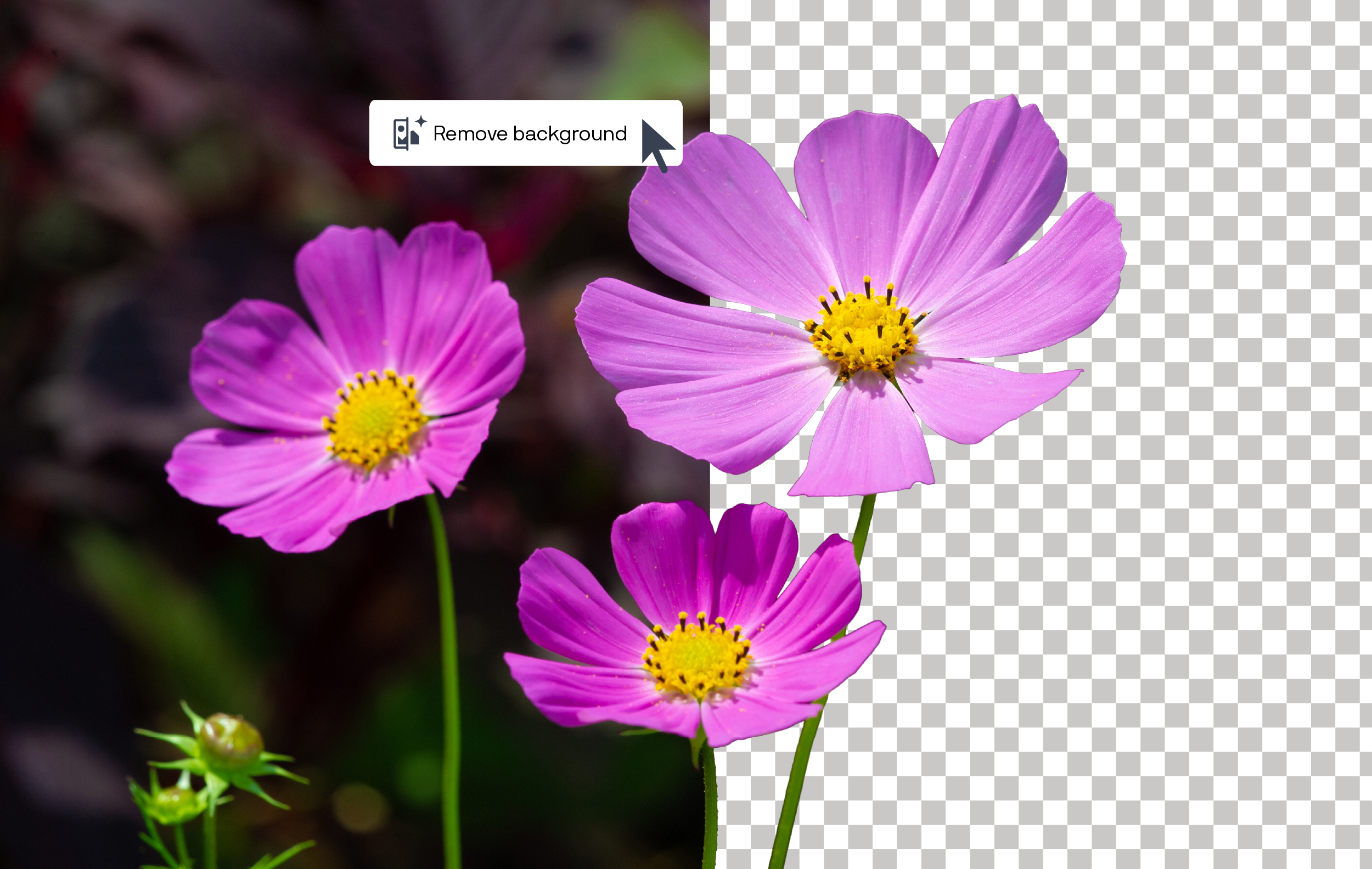 AI background removal