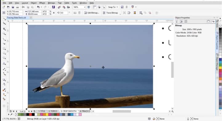 Step 1: choose your image